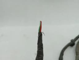 MERCEDES-BENZ Mercedes CL W217 Rear Bumper Wiring Loom A2175404701 Wiring Harness Faulty — thumbnail 5