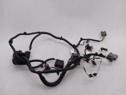 ASTON MARTIN Aston Martin Vanquish AM310 Wiring Loom ED33-14631-BC DOOR LEFT Wiring Harness — thumbnail 4
