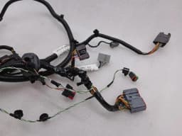 ASTON MARTIN Aston Martin Vanquish AM310 Wiring Loom ED33-14631-BC DOOR LEFT Wiring Harness — thumbnail 5
