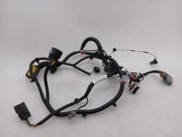 ASTON MARTIN Aston Martin Vanquish AM310 Wiring Loom ED33-14631-BC DOOR LEFT Wiring Harness — thumbnail 8