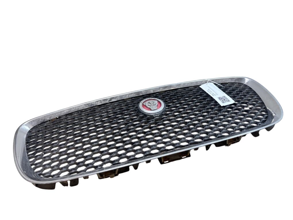 JAGUAR T4N12773 Radiator Grille JAGUAR F-PACE (X761) (2015-2024)