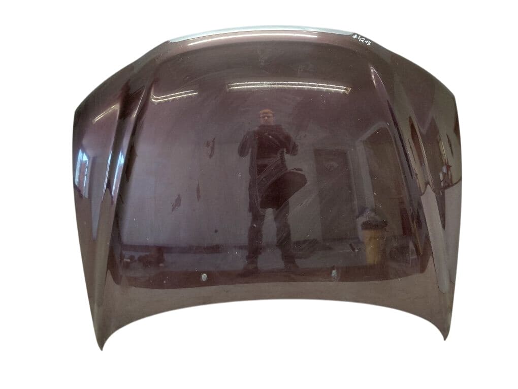 664003K010 Bonnet HYUNDAI SONATA V (NF) (2005-2010)