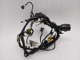 FERRARI Ferrari California F149 08-14 4.3 Wiring Loom 281566 RH DOOR Wiring Harness — thumbnail 1
