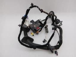 PORSCHE PORSCHE CAYMAN 718 GT4 WIRING LOOM 9P4971030AQ Wiring Harness PASSENGER DOOR — thumbnail 1