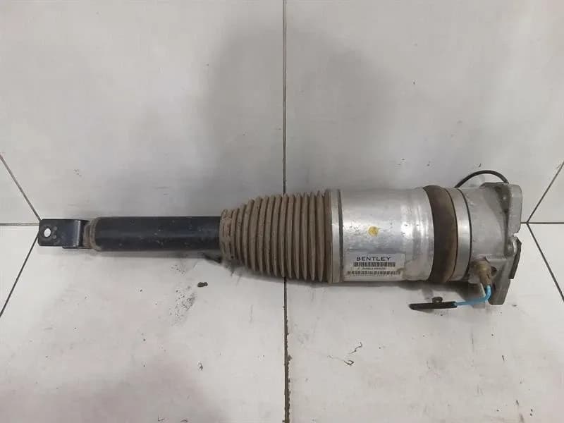 BENTLEY Bentley Continental GT W12 shock absorber rear 3W8616002B shock absorber rear