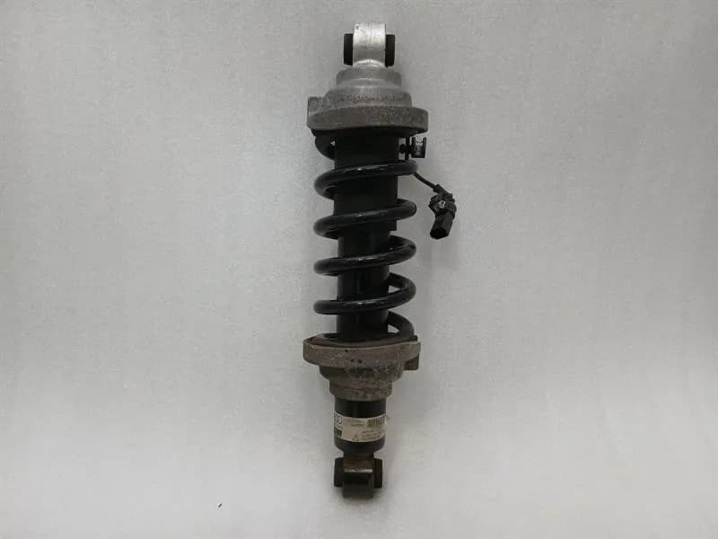 Lamborghini Huracan LP640 EVO shock absorber rear 4T7512019D shock absorber rear