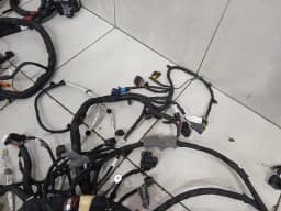 FERRARI FERRARI 296 GTS F171 WIRING LOOM MAIN BODY LHD Wiring Harness HARNESS 941572 — thumbnail 9