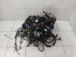 FERRARI FERRARI 296 GTS F171 WIRING LOOM MAIN BODY LHD Wiring Harness HARNESS 941572 — thumbnail 2