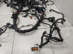 FERRARI FERRARI 296 GTS F171 WIRING LOOM MAIN BODY LHD Wiring Harness HARNESS 941572 — thumbnail 6