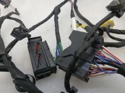FERRARI Ferrari 296 GTS F171 Wiring Loom 902025 LH DOOR LHD Door LEFT Wiring Harness — thumbnail 2