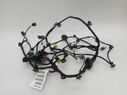 FERRARI Ferrari 296 GTS F171 Wiring Loom 902025 LH DOOR LHD Door LEFT Wiring Harness — thumbnail 8