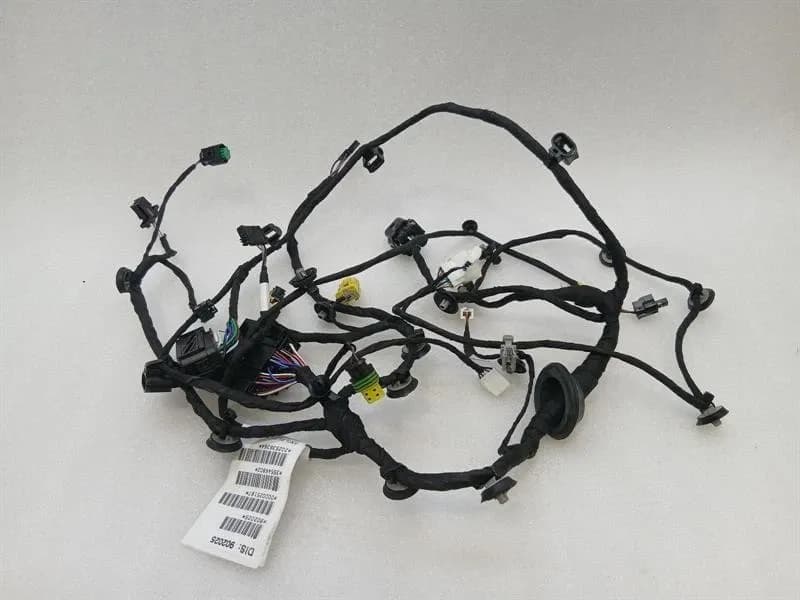 FERRARI Ferrari 296 GTS F171 Wiring Loom 902025 LH DOOR LHD Door LEFT Wiring Harness