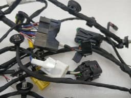 FERRARI Ferrari 296 GTS F171 Wiring Loom 902025 LH DOOR LHD Door LEFT Wiring Harness — thumbnail 7