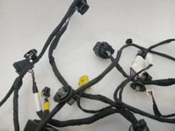 FERRARI Ferrari 296 GTS F171 Wiring Loom 902025 LH DOOR LHD Door LEFT Wiring Harness — thumbnail 10