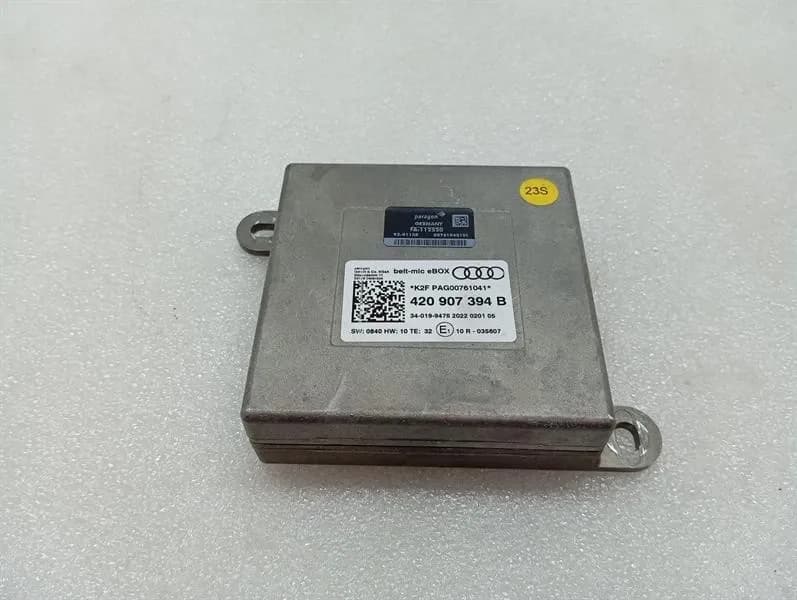 AUDI Audi R8 4S V10 RWD electronic module 420907394B control unit