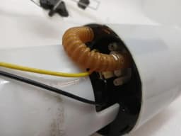 PORSCHE Porsche Cayman 981 Fuel Pump Electric 99162014100 Fuel Pump — thumbnail 7