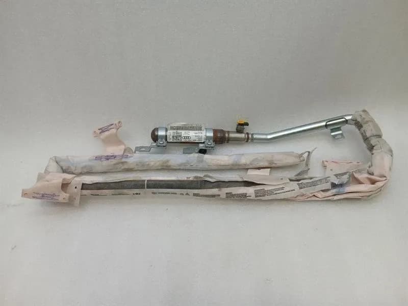 AUDI Audi R8 4S Performance module 4S0880742E right module right curtain