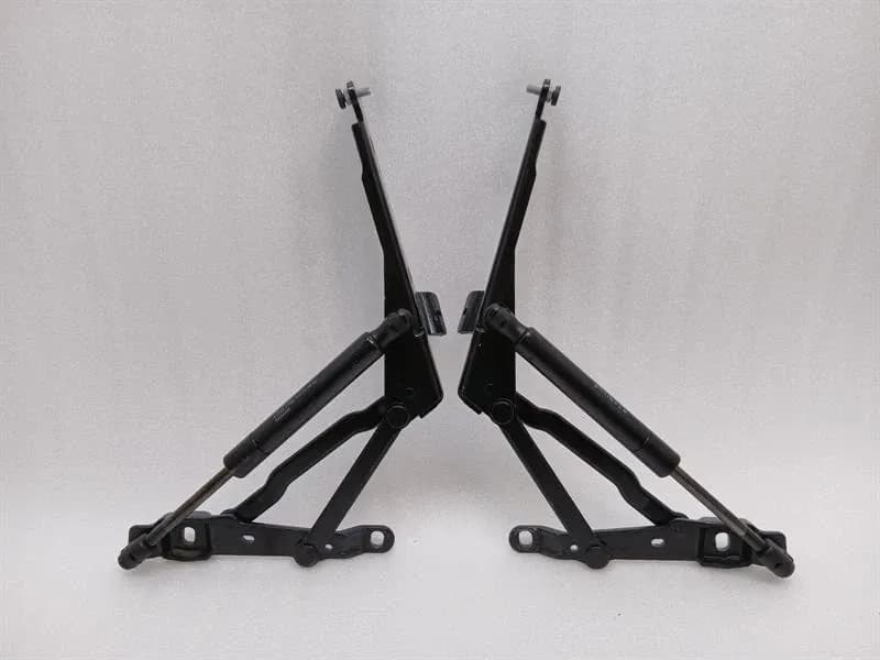 FERRARI Ferrari California F149 08-14 4.3 boat hinge 70001686 set tailgate hinge