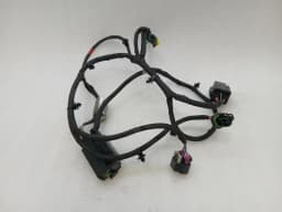 FERRARI Ferrari 296 GTS F171 Wiring Loom 920015 Rear Left Wiring Harness — thumbnail 1