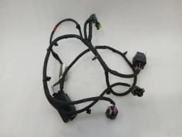 FERRARI Ferrari 296 GTS F171 Wiring Loom 920015 Rear Left Wiring Harness — thumbnail 9