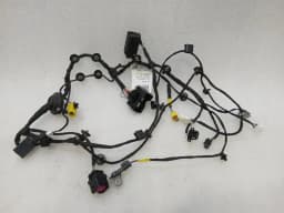FERRARI Ferrari 296 GTS F171 Wiring Loom 902031 RH DOOR Wiring Harness RIGHT DOOR — thumbnail 2