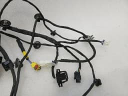 FERRARI Ferrari 296 GTS F171 Wiring Loom 902031 RH DOOR Wiring Harness RIGHT DOOR — thumbnail 4