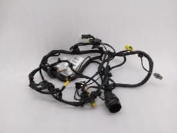 FERRARI Ferrari 488 F142M Wiring Loom 324901 Wiring Harness RH DOOR RIGHT DOOR — thumbnail 1