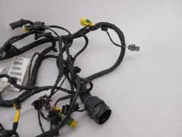 FERRARI Ferrari 488 F142M Wiring Loom 324901 Wiring Harness RH DOOR RIGHT DOOR — thumbnail 2