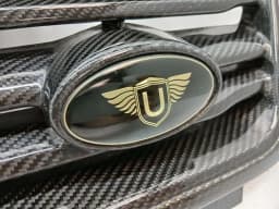 LAND ROVER Land Rover Range Rover Sport L494 Front Grille Urban Carbon Fiber Radiator Grille — thumbnail 6