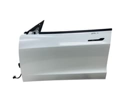 TESLA 1081421-E0-C 1081421E0C Door Front Left TESLA MODEL 3 (2017-) — thumbnail 1