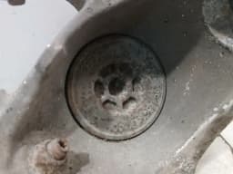 PORSCHE Porsche Cayman 987 Right Front Hub 99734115805 Wheel Bearing Housing Front Right — thumbnail 6