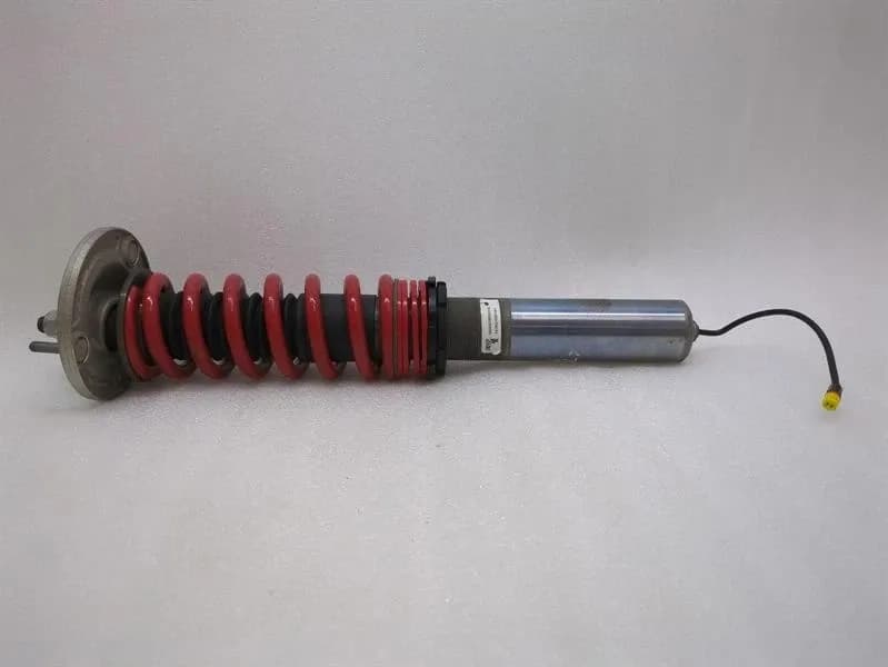 PORSCHE Porsche Cayman 718 GT4 shock absorber rear 98133303596 shock absorber rear PASM