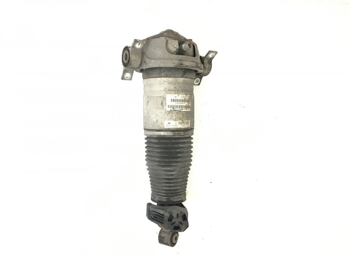 AUDI 15140004654 15.1400-0465.4 15.1400-0595.4 15140005954 Air shock absorber rear left AUDI Q7 (4L) (2006-2015)
