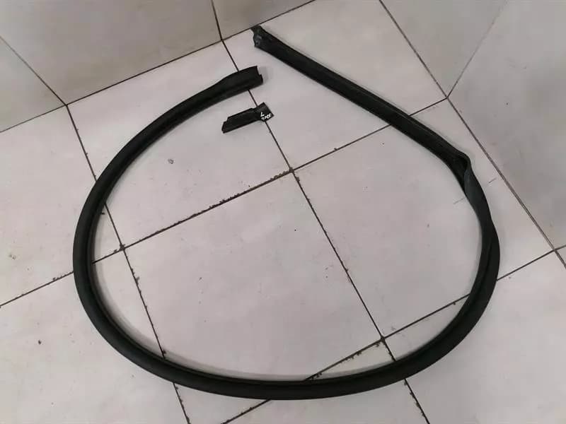 BMW BMW i8 Hybrid Door Seal 51767312985 Door Seals LEFT DOOR LEFT DOOR