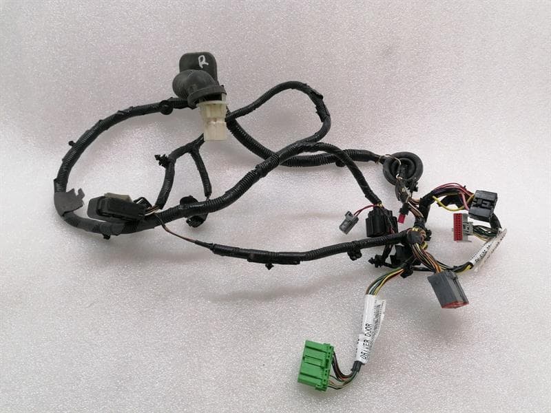 ASTON MARTIN ASTON MARTIN VANTAGE V12 Wiring Loom BG33-14631-AA Harness RH DOOR