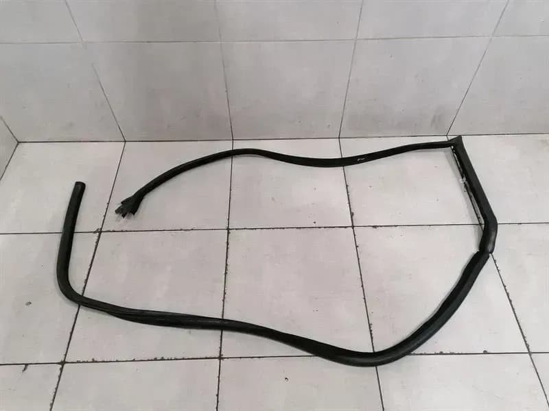 ASTON MARTIN Aston Martin Rapide 10-14 Door Seal AD43-F20709-EB FRONT HEATED Door Seals