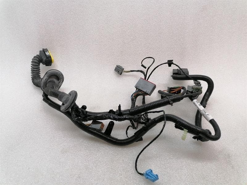 ASTON MARTIN ASTON MARTIN RAPID S Wiring REAR LEFT DOOR AD43-14633-BA Harness