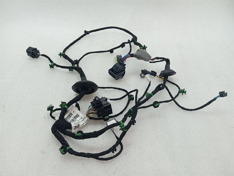 FERRARI Ferrari Purosangue F175 Wiring Loom 845641 FL DOOR Wiring Harness