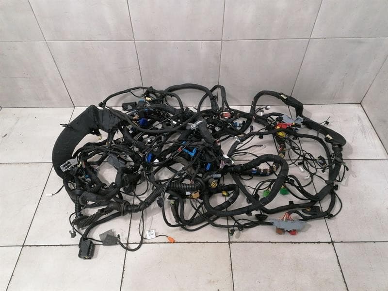 FERRARI Ferrari GTC4 Lusso F151M Wiring Loom 815264 Main Rear Part Wiring Harness Rear