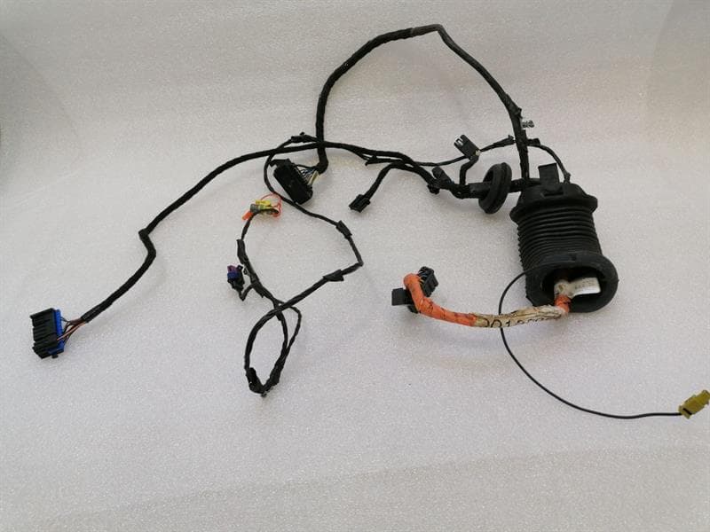 CHEVROLET CHEVROLET CORVETTE C6 Wiring Loom 15777014 Harness LEFT DOOR