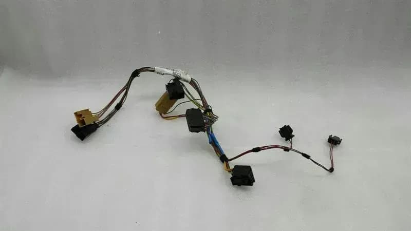BENTLEY Bentley Continental GT Wiring Loom 3W0971148E Wiring Harness