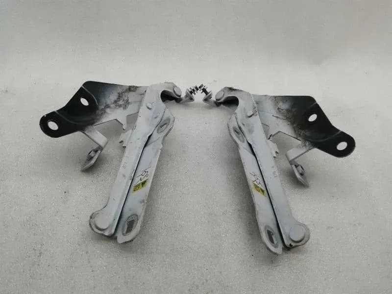 FORD FORD MUSTANG MK6 S550 BOOT HINGE SET GR3B-16800-AC Tailgate Hinge Set