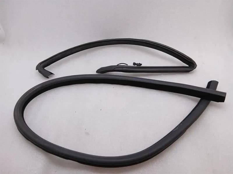 ASTON MARTIN Aston Martin Rapide 10-14 Door Seal AD43-F20708-FB RR HEATED Door Seals