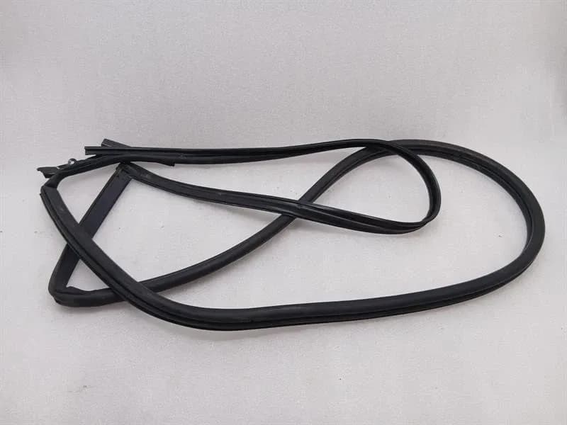ASTON MARTIN Aston Martin DB9 COUPE Door Seal 4G43-F20709-AJ LEFT Door Seals