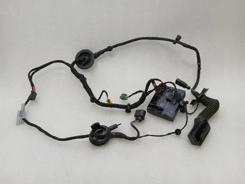 LAMBORGHINI Lamborghini Huracan Performante Wiring Loom 4T2971029F Right Door WIRING RHD